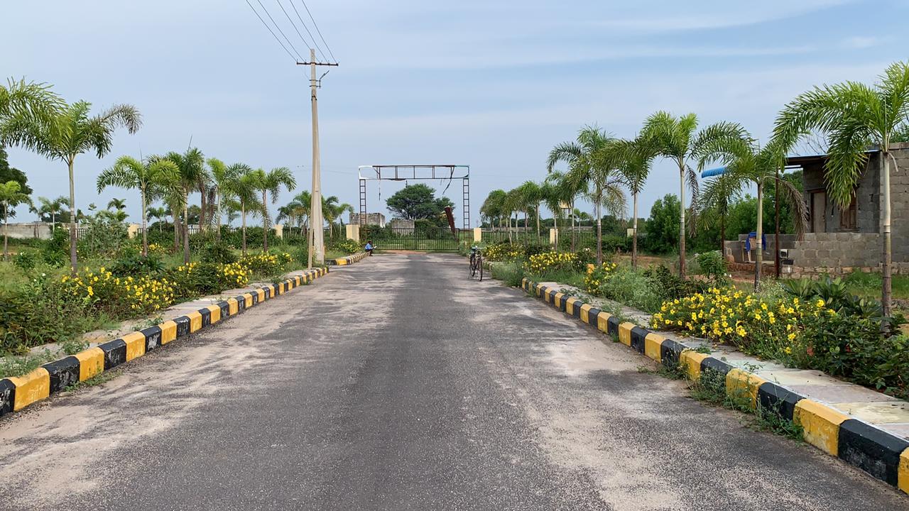 ever mark properties